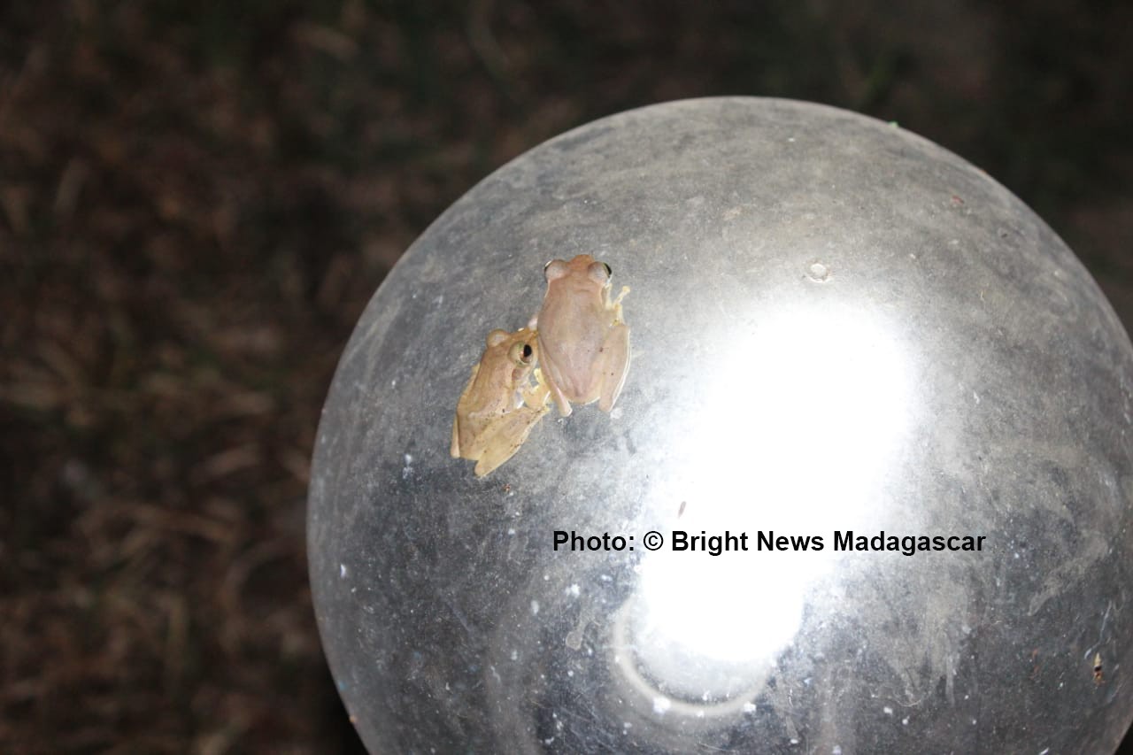 Quand la nature nous émerveille