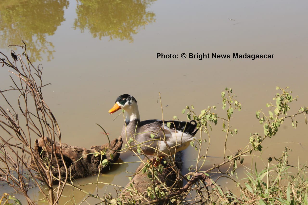 La nature, tout simplement
